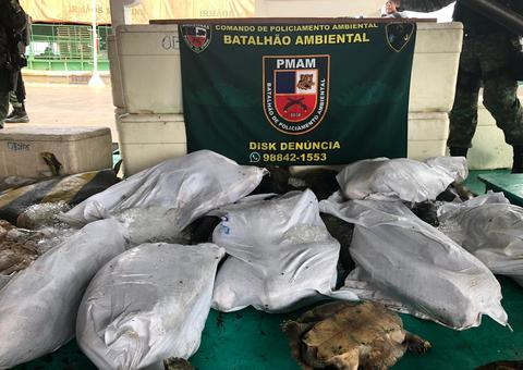Mais de 1 tonelada de pescado ilegal é encontrada em barcos em porto de Manaus