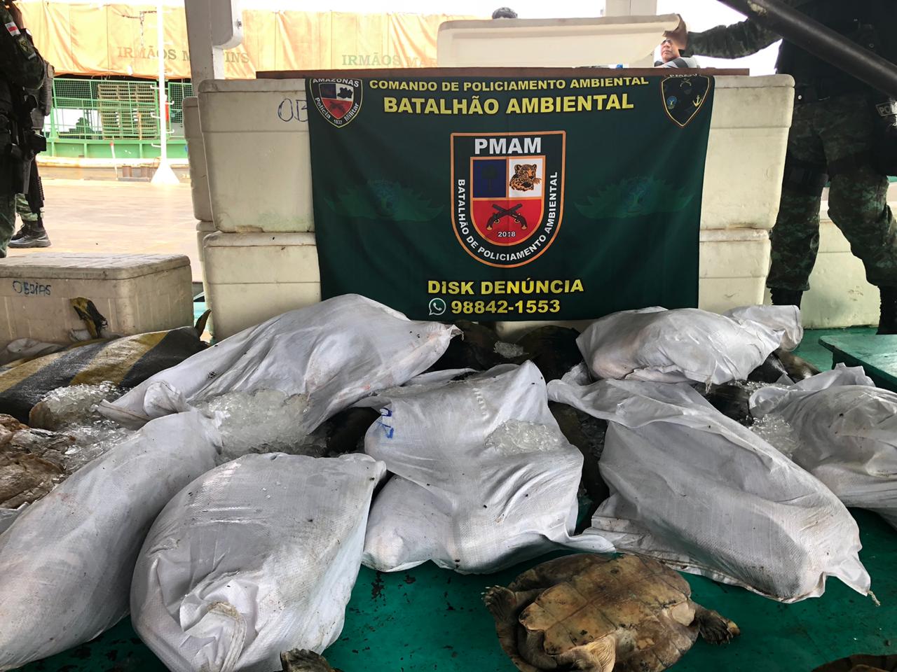 Mais de 1 tonelada de pescado ilegal é encontrada em barcos em porto de Manaus