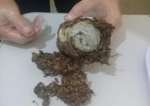 Mulher é flagrada ao tentar em presídio com drogas escondidas nas partes íntimas