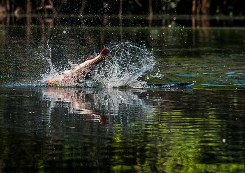 Cresce número de turistas em visita ao Amazonas