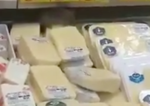 Vídeo: Rato é flagrado roendo queijo em prateleira de supermercado