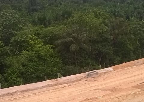 Desmatamento causa surtos de doenças infecciosas em humanos, diz estudo