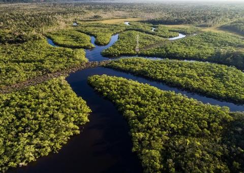 Amazônia: Operação Verde Brasil aplicou quase R$ 100 milhões em multas