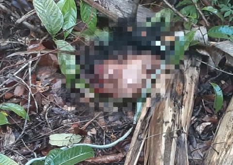 Três pessoas são encontradas decapitadas em área de mata em Manaus