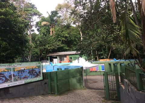 Inpa lança edital para selecionar empreendimentos inovadores em Manaus