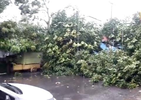 Bombeiros registram 20 ocorrências após temporal causar estragos em Manaus