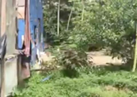 Em menos de 4h, polícia encontra quarto corpo na comunidade Monte Horebe em Manaus 