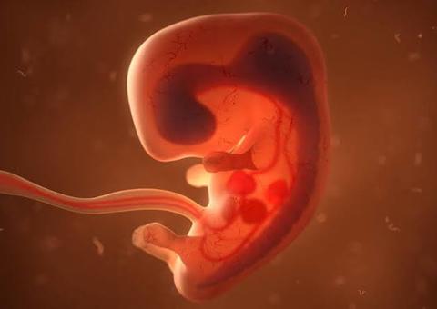 Irlanda do Norte legaliza aborto e casamento gay no mesmo dia