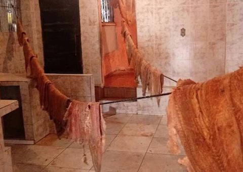 Mais de meia tonelada de pescado ilegal é apreendida em casa de Manaus