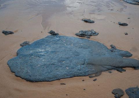Óleo recolhido nas praias da Bahia será transformado em carvão granulado