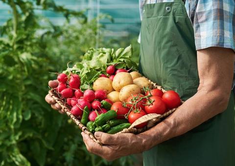 Sesc promove seminário sobre alimentação saudável e sustentável em Manaus