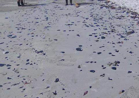 Óleo avança pelo litoral e atinge mais duas praias de Pernambuco