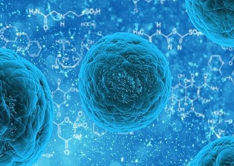 Cientistas descobrem molécula que poderá tratar câncer de ovário