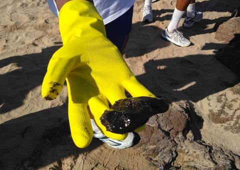 Tipo de óleo que atinge o Nordeste é o mais prejudicial, dizem especialistas