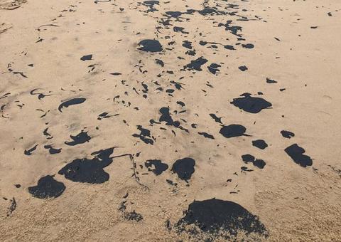 Óleo que vazou foi extraído de três campos na Venezuela, diz Petrobras