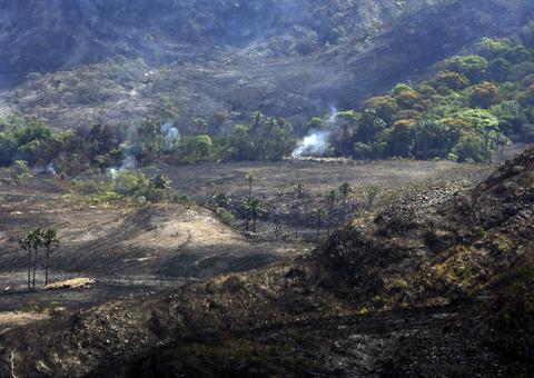 Operação Pudim desarticula exploração ilegal de madeira em Rondônia