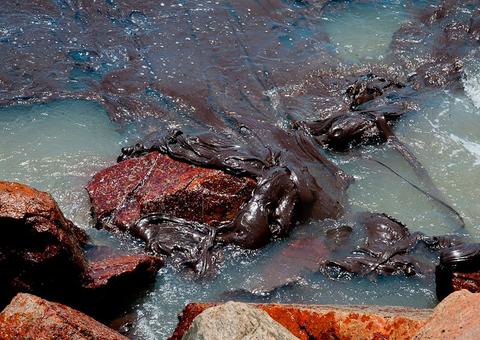 Quase 900 toneladas de óleo já foram recolhidas em Sergipe
