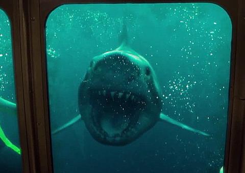 Confira a nova data de estreia de Medo Profundo 2