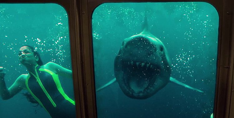 Confira a nova data de estreia de Medo Profundo 2