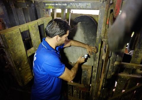 Vacinação contra febre aftosa começa nesta sexta-feira no Amazonas