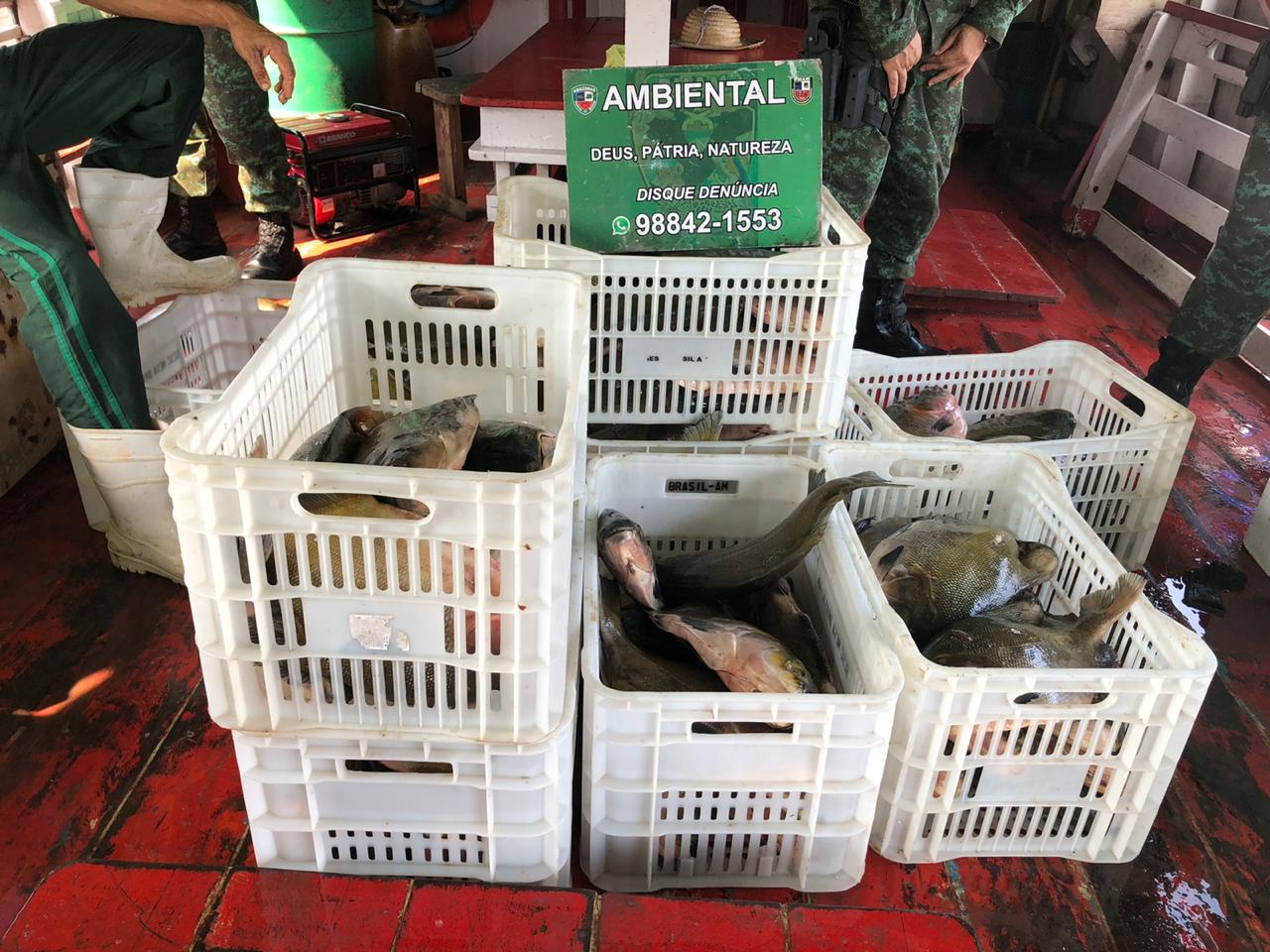 Batalhão Ambiental apreende mais de 1.350 Kg de pescado e carne ilegal em porto de Manaus