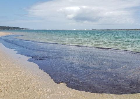 PF cumpre mandados contra empresa de navio que pode ter derramado óleo que atinge o Nordeste