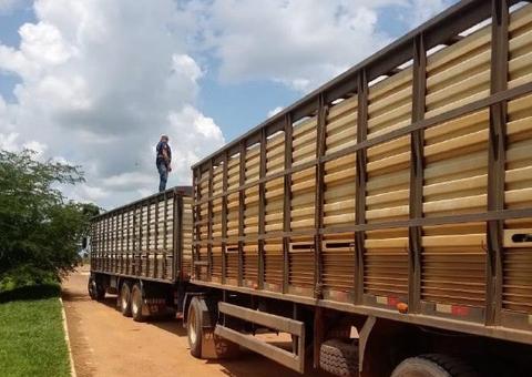 Parceria entre Amazonas e Acre atua na fiscalização de trânsito agropecuário