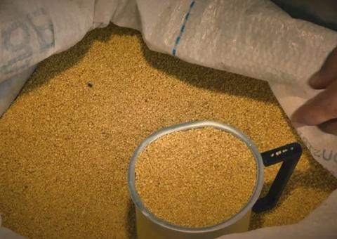 Projeto de vereador quer tornar farinha do Uarini patrimônio cultural de Manaus