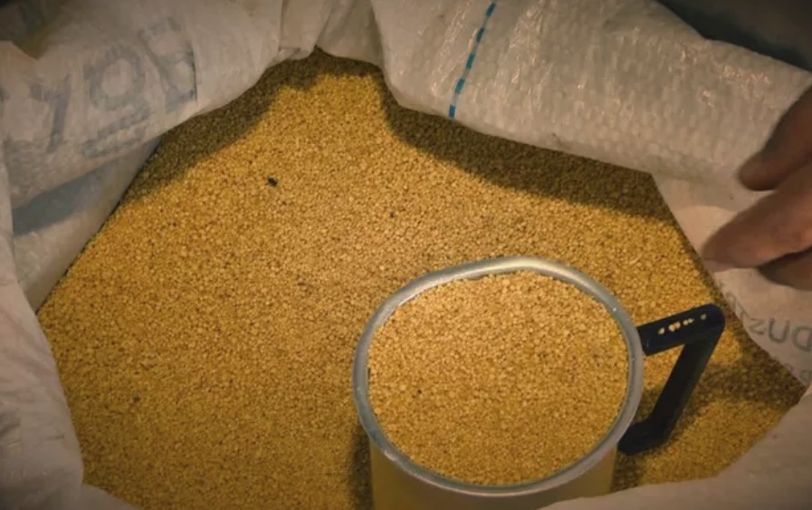 Projeto de vereador quer tornar farinha do Uarini patrimônio cultural de Manaus