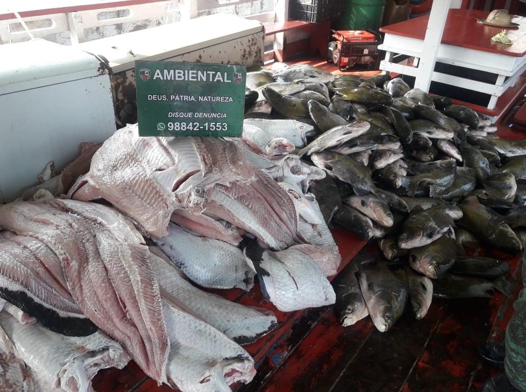 PM apreende quase cinco toneladas de pescado ilegal em Manaus