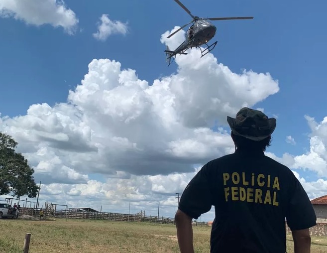 Operação da PF destrói mais de 360 mil pés de maconha em terras indígenas