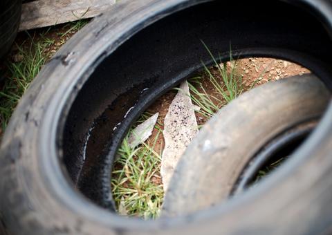 Casos de morte por dengue aumentam 5 vezes em relação ao ano passado