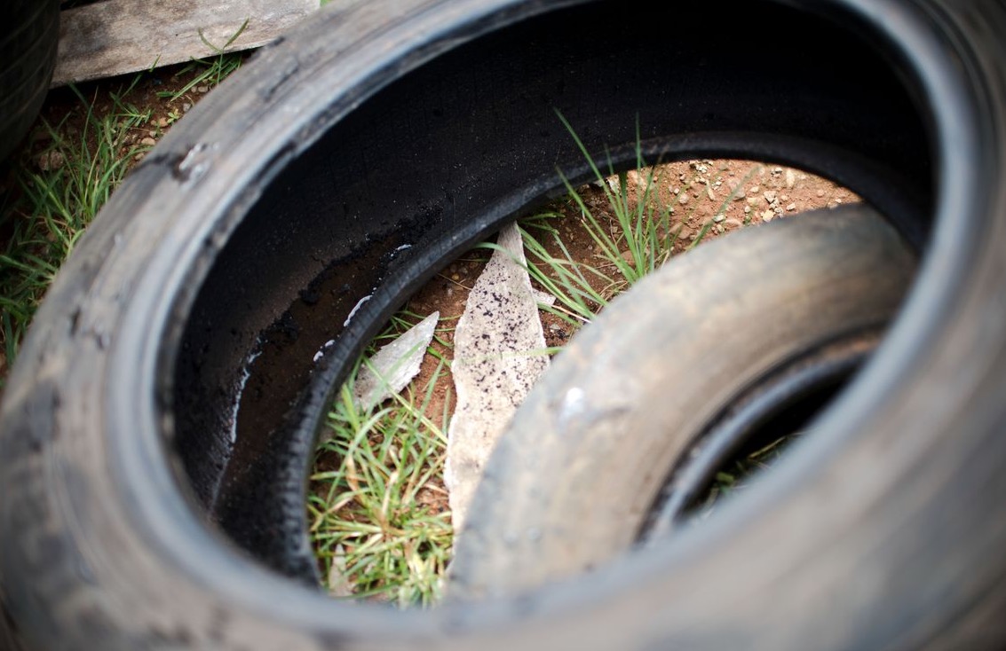 Casos de morte por dengue aumentam 5 vezes em relação ao ano passado