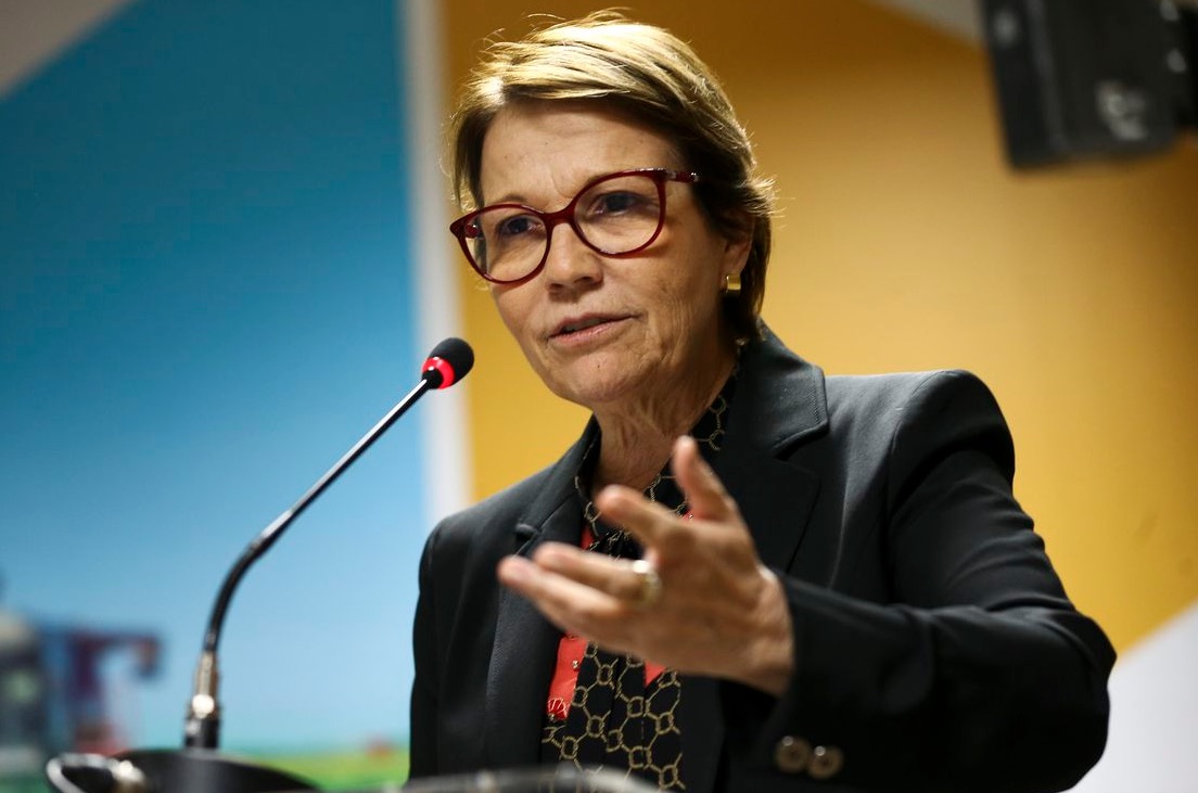 Ministra avalia que mercado dos EUA voltará a comprar carne brasileira