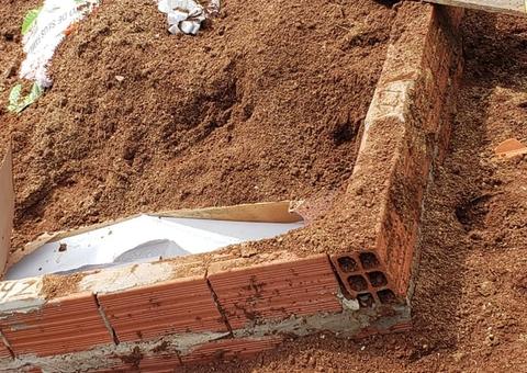 Corpo de mulher é arrancado de cova e encontrado seminu em área de mata