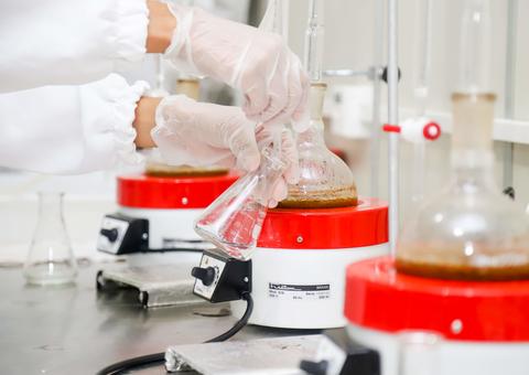 Insumos da Amazônia ganham acesso mais fácil via consultoria de startup