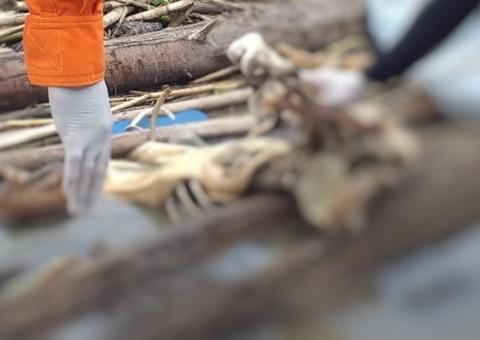 Ossada humana é achada às margens de rio no Amazonas