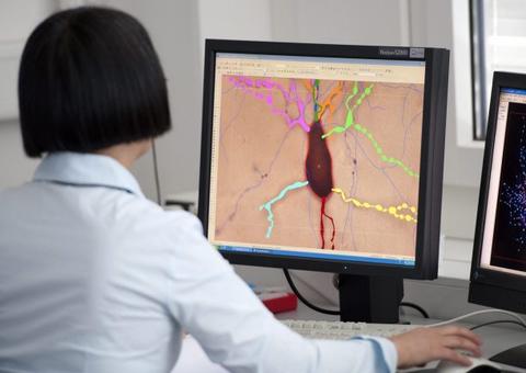 Cientistas descobrem que lítio pode reverter lesões no cérebro causada por radiação