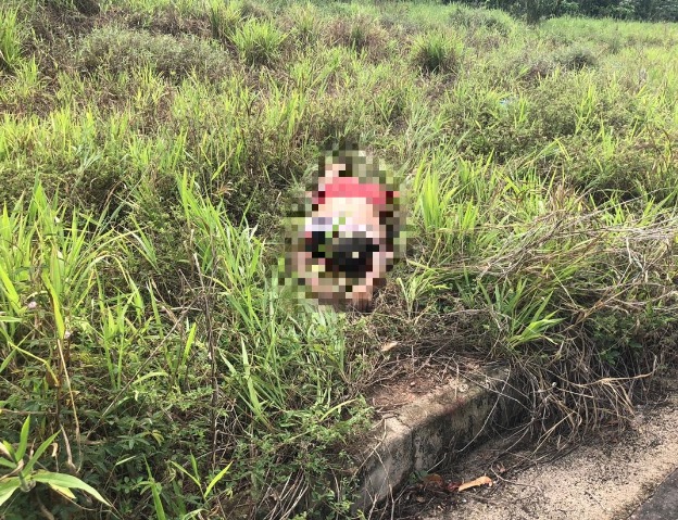 Após tiros, vigilante acha rastro de sangue e homens mortos na Cidade Universitária