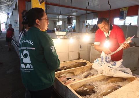 Fiscalização vai checar comercialização de peixes em período de defeso