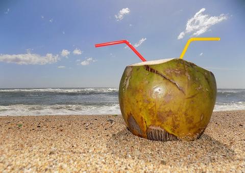 Conheça os benefícios da água de coco