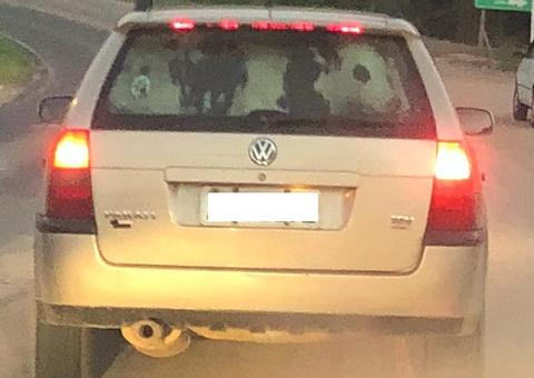 Vaca é flagrada sendo transportada dentro de carro
