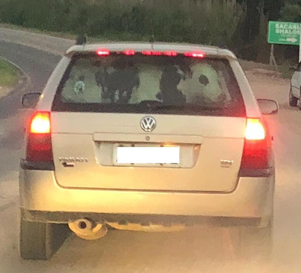Vaca é flagrada sendo transportada dentro de carro