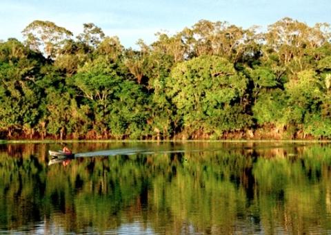Capes vai liberar R$ 7 milhões para pesquisas na Amazônia Legal