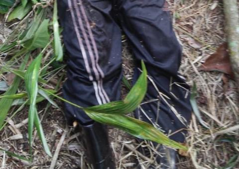 Desaparecido há dois dias, filho de prefeito é encontrado morto em mata no Amazonas