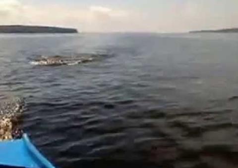 Homem mata carpinteiro em flutuante e passa com barco por cima do corpo em Manaus