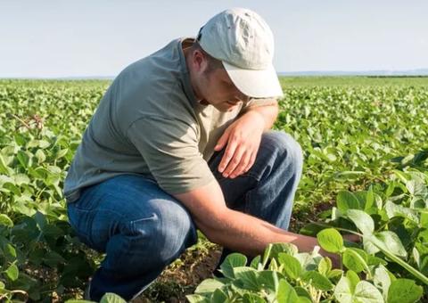 Governo planeja mudanças no seguro agropecuário