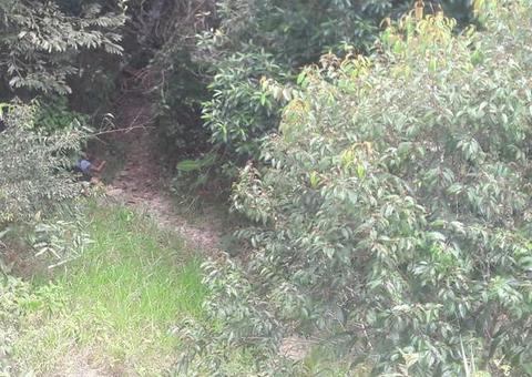 Com rosto desfigurado por tiros, jovem é encontrado morto em matagal em Manaus