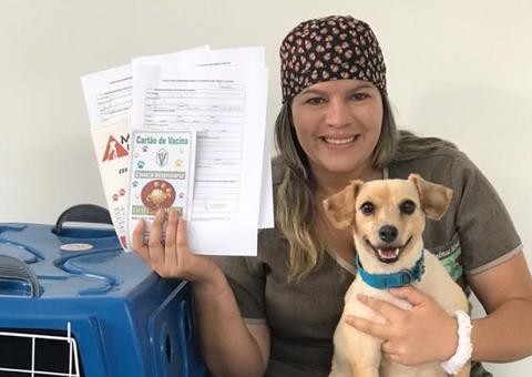 Dicas para quem tem pet e quer viajar sem complicações