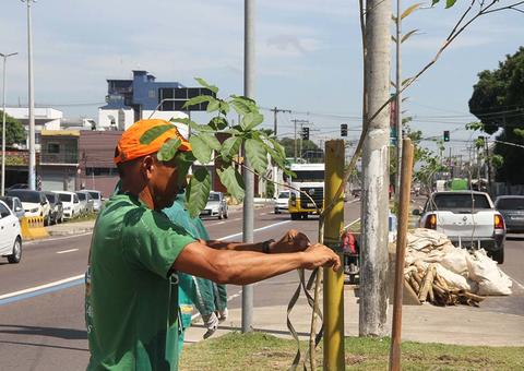 Projeto de arborização realiza plantio em avenida de Manaus